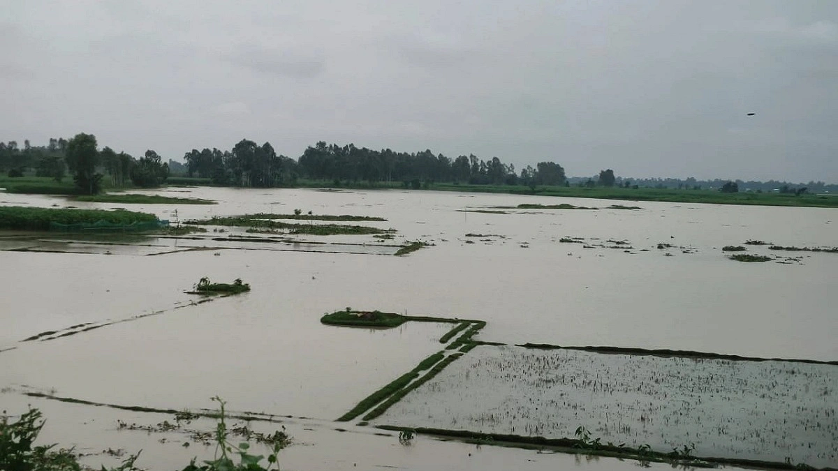 হু হু করে বাড়ছে দুধকুমার নদের পানি