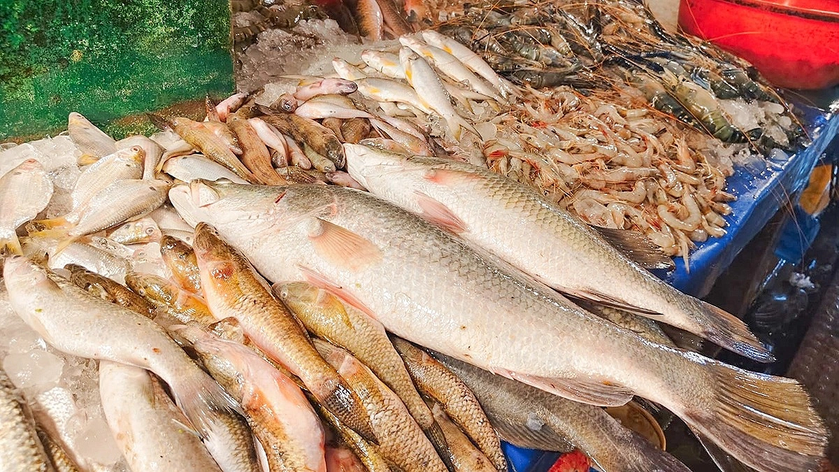 চকরিয়ার চোয়ার ফাঁড়ির মাছে এতো স্বাদ!