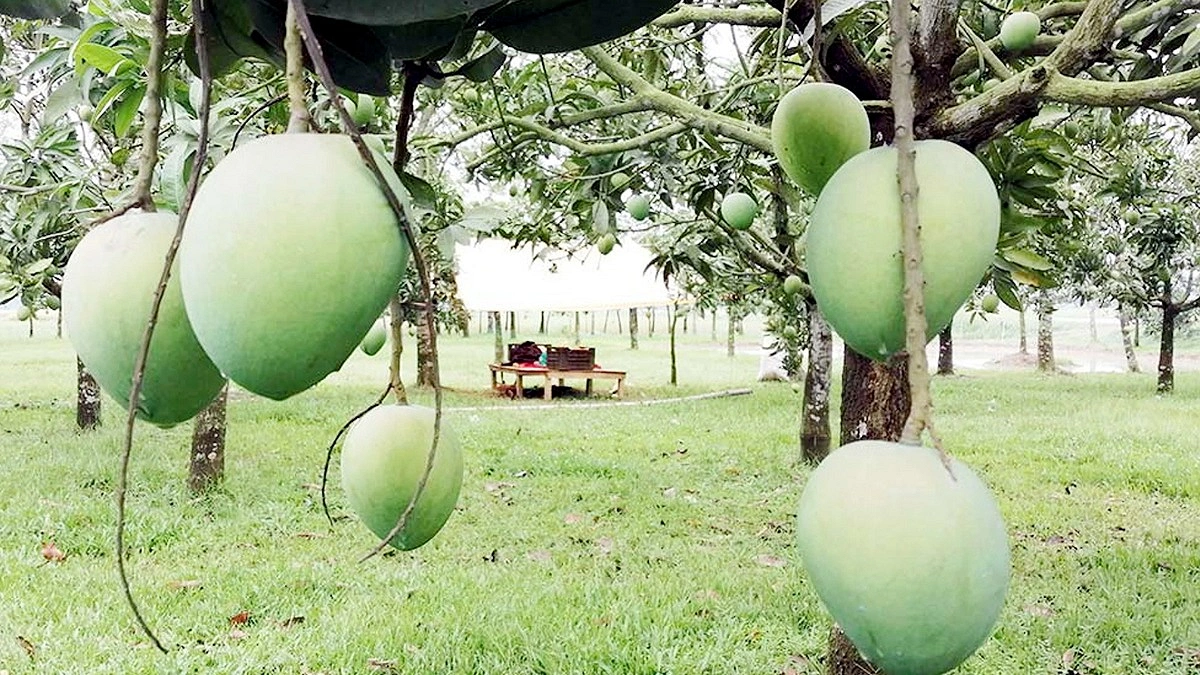 হাঁড়িভাঙার হাঁড়ির খবর