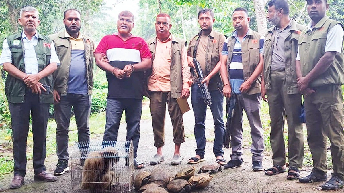 চকরিয়ায় মুখপোড়া হনুমান ও ১২ কচ্ছপ উদ্ধার