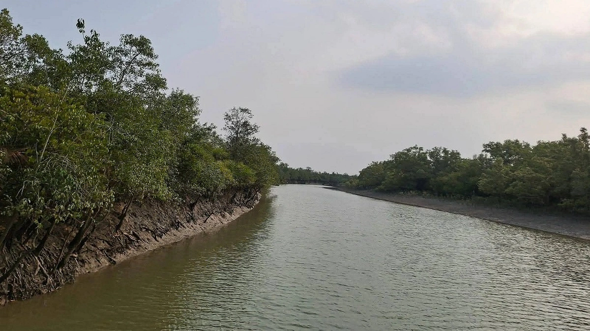 মুক্তিপণ দিয়ে ১১ দিন পর ফিরলেন সেই চার জেলে
