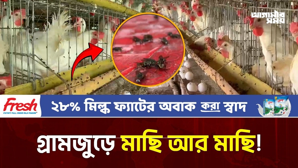 Video news 2
