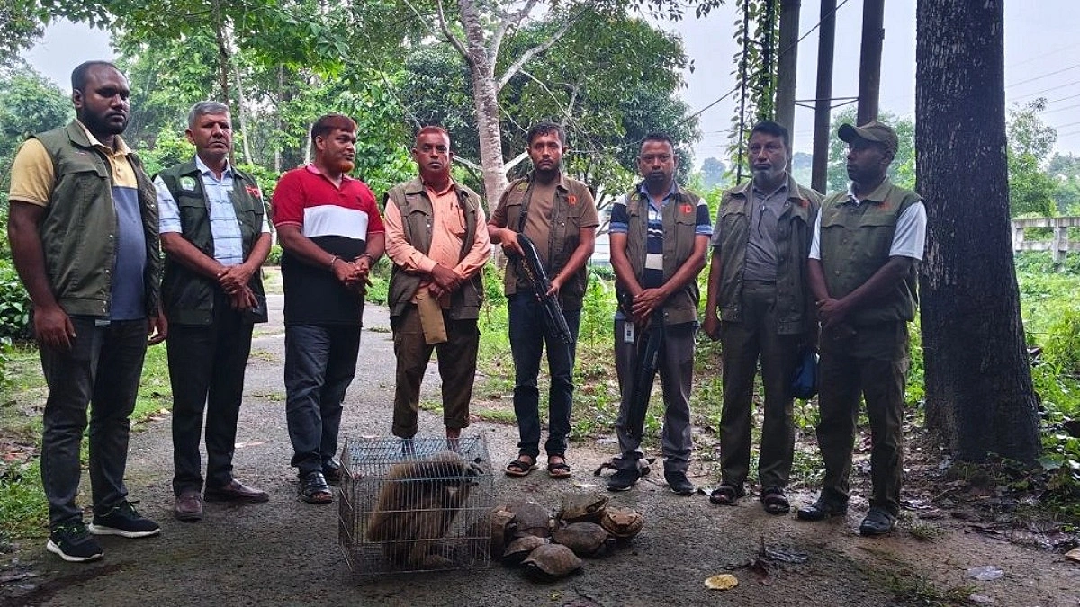 চকরিয়ায় বন্যপ্রাণী রক্ষায় অভিযান, পাচারকারীকে কারাদণ্ড