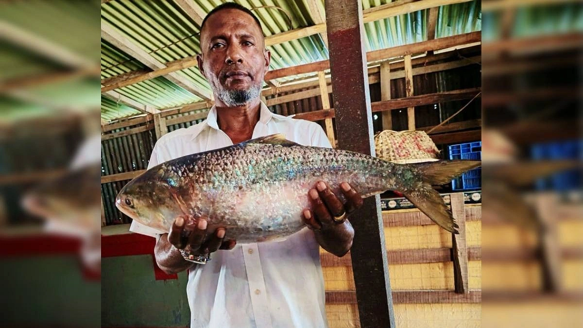মেঘনায় ধরা পড়ল আড়াই কেজির ইলিশ