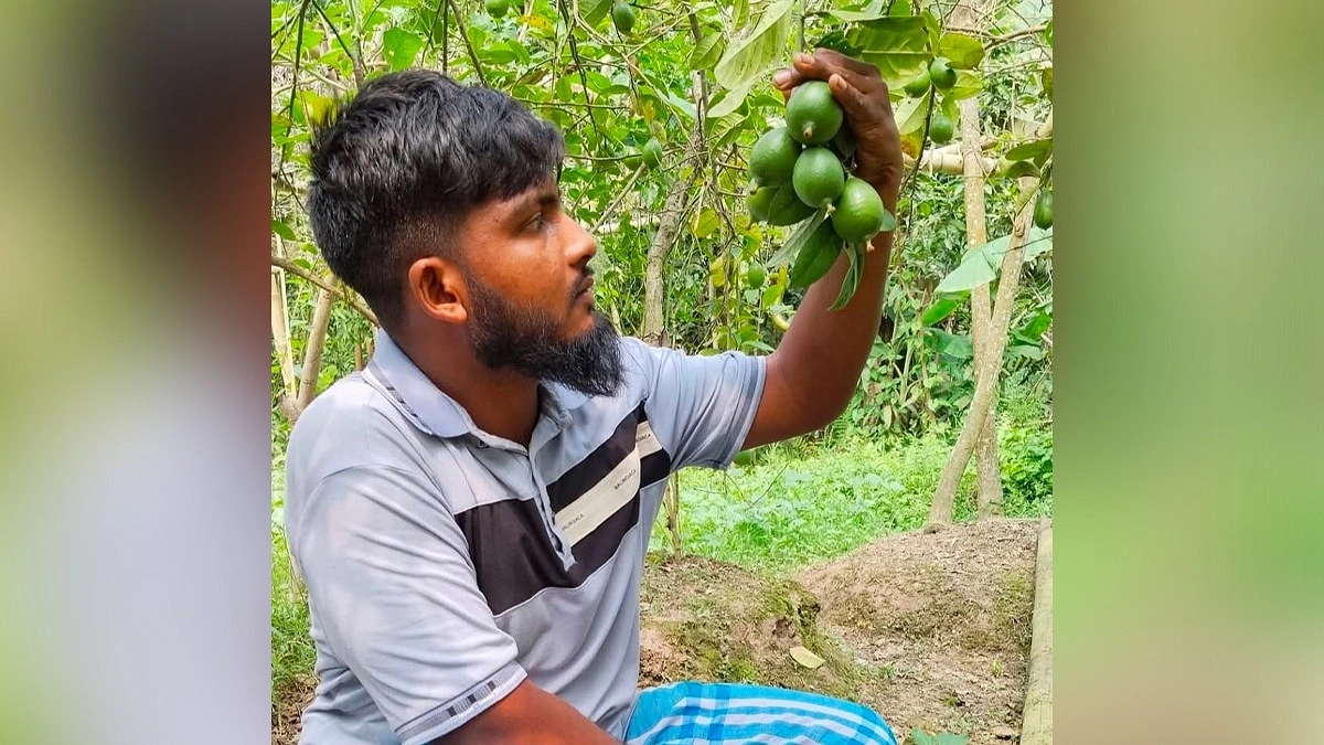 পারিশ্রমিকের বদলে লেবুর চারা, বদলে গেল সোহানের জীবন