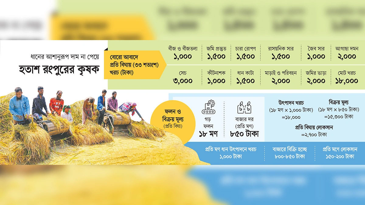 বিঘায় লোকসান ২ হাজার ৭০০ টাকা