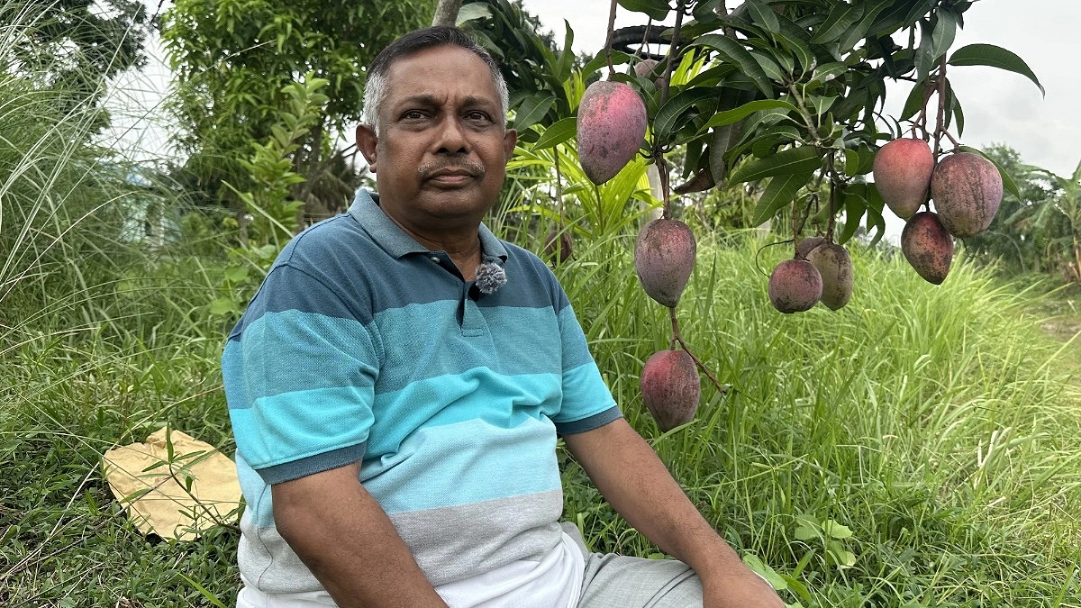 বাবা-মায়ের কবর ঘিরেই ২১ একরের সবুজ স্বপ্ন মিলটনের