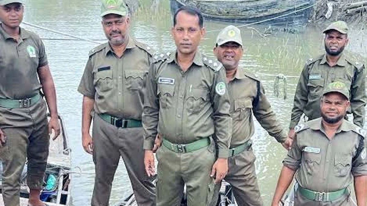 নিষেধাজ্ঞার মধ্যেই মাছ ধরে শুঁটকি তৈরি, বনরক্ষীদের অভিযান
