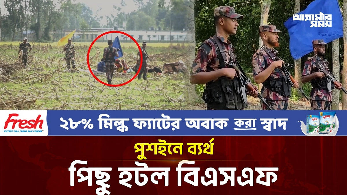 Video news 4