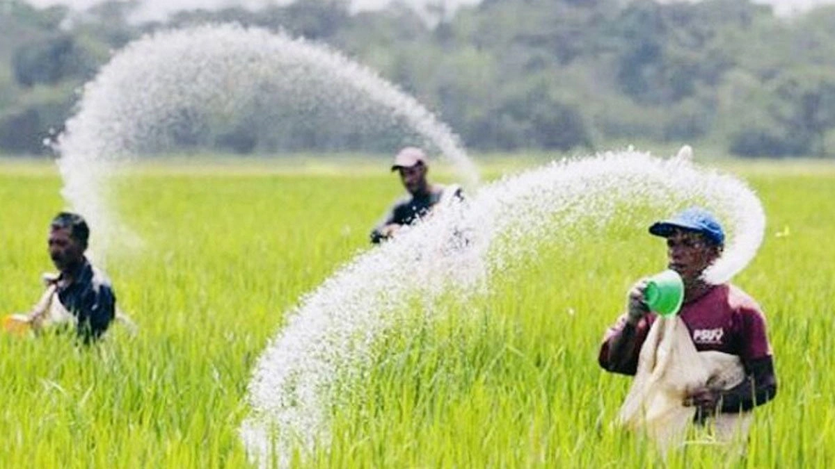 মরক্কো থেকে ৫২৩ কোটি টাকার সার কেনা হচ্ছে