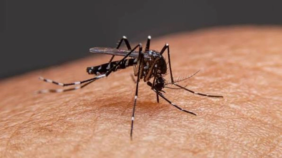 ডেঙ্গুতে থামল আরও ২ জনের প্রাণ