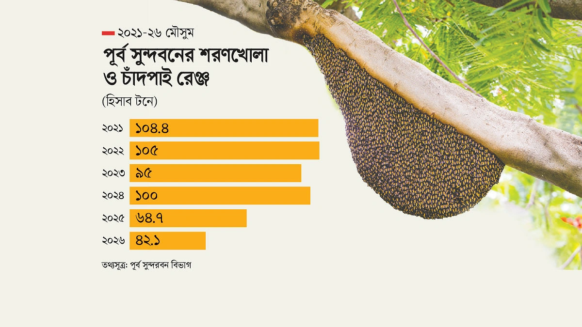 ছয় বছরে মধু আহরণ সর্বনিম্ন