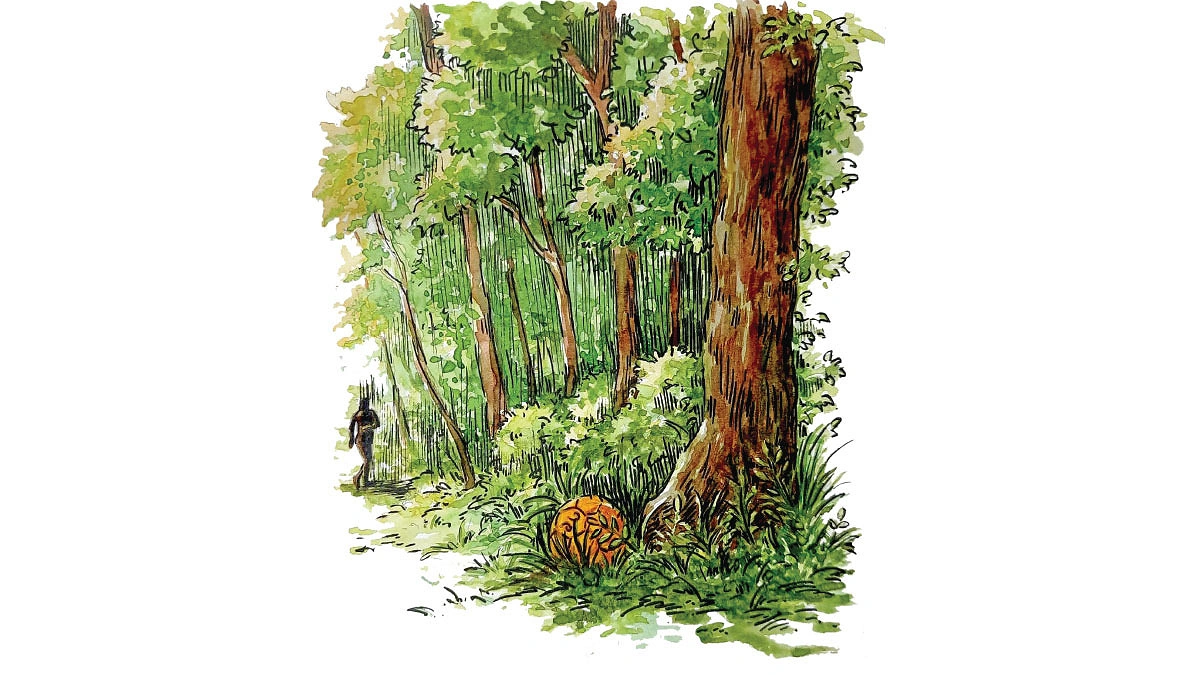 গোল্ডেন বল
