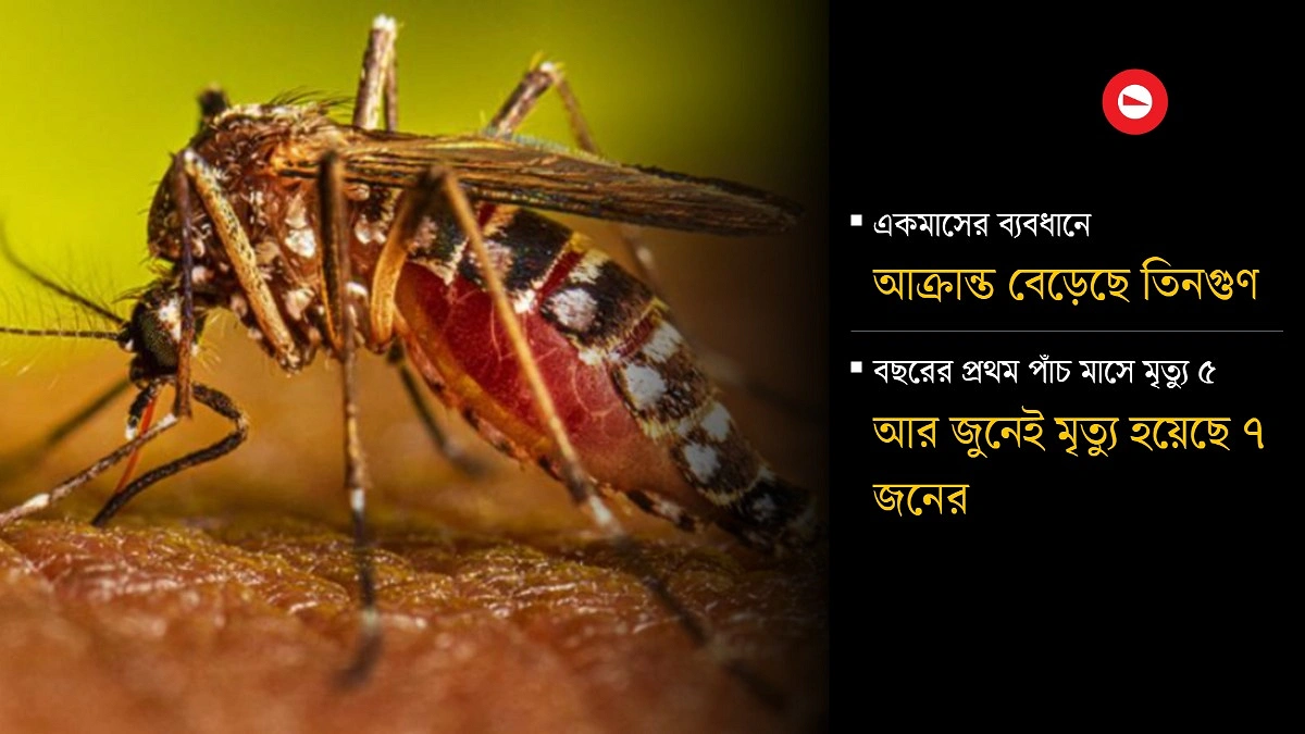 ডেঙ্গু সংক্রমণ ঊর্ধ্বমুখী, বাড়ছে মৃত্যু