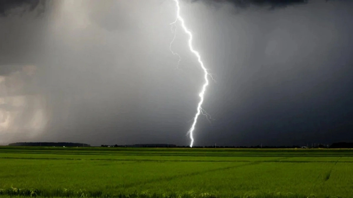 গরু আনতে গিয়ে বজ্রপাতে কৃষক নিহত