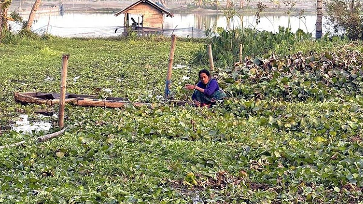 টিআরএম চালুর দাবি
