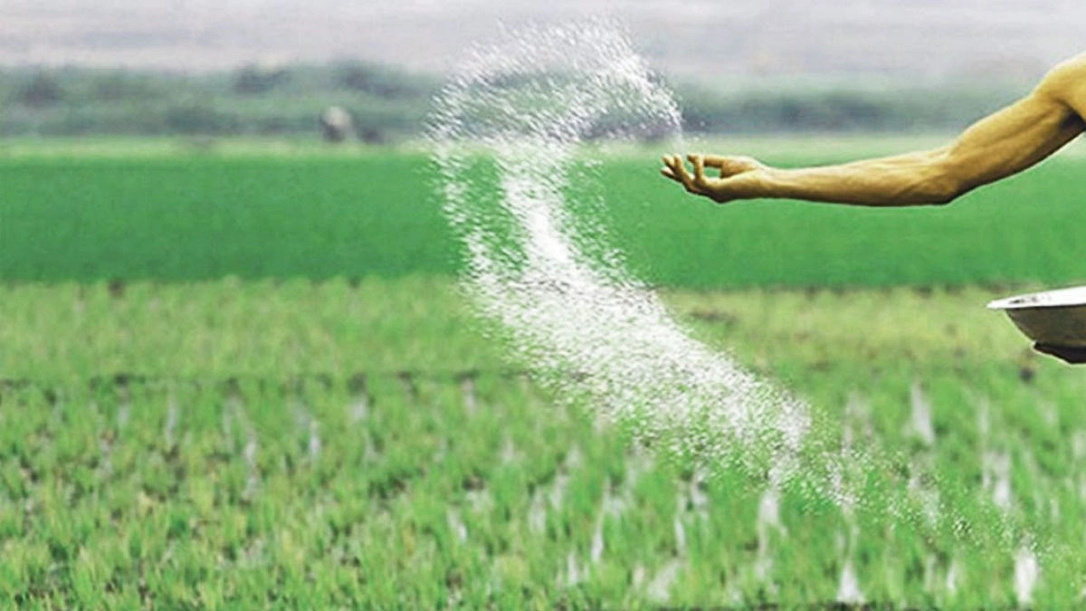 সারের অর্ধেক ভর্তুকি ২০% জমি-মালিকের পকেটে