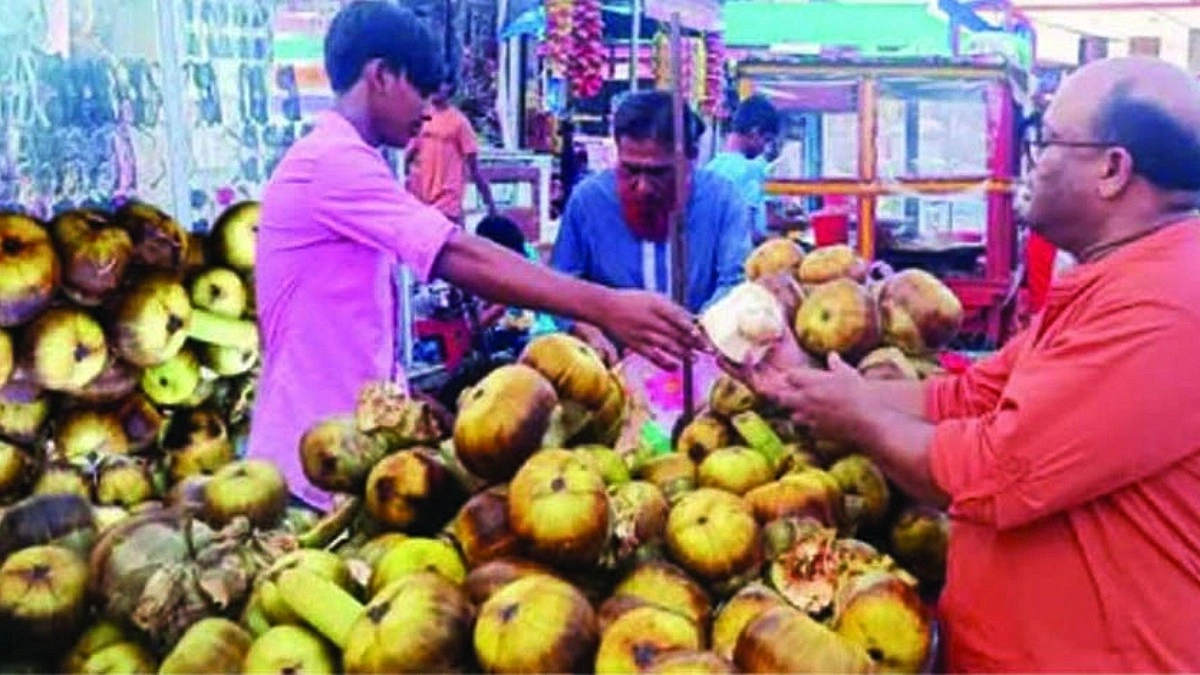দাউদকান্দিতে তালের শাঁসের কদর বেড়েছে