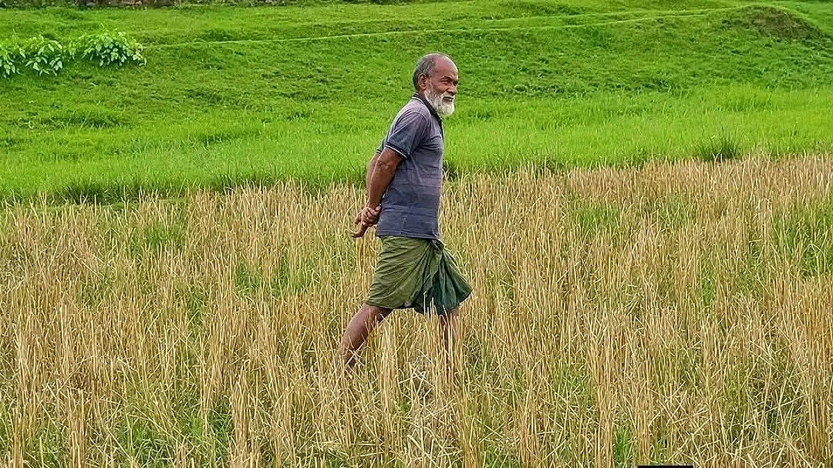নথিহীনদের বাংলাদেশি আখ্যা দিয়ে সীমান্তে ঠেলে দিচ্ছে ভারত : আলজাজিরা