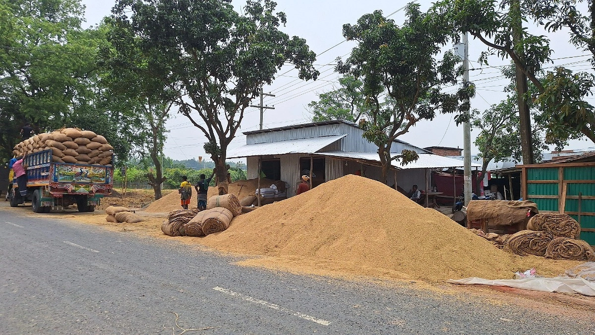 ভরা মৌসুমেও চড়া চালের দাম, বাজারে অশনি সংকেত
