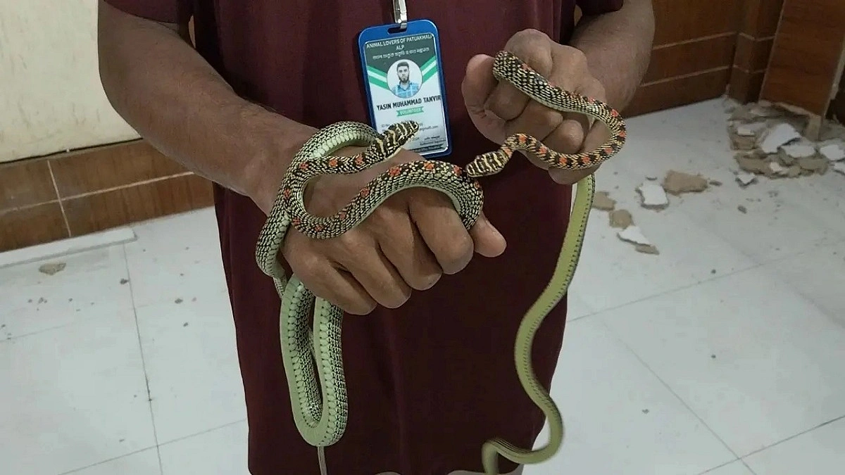 ডিআইজির কার্যালয়ে মিলল দুই ‘কালনাগিনী’