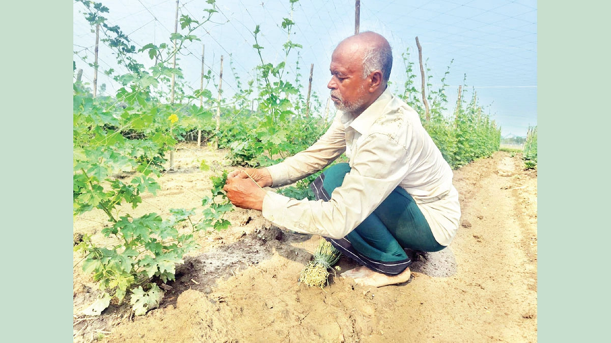 মনোতোষের হাত ধরে বদলে গেছে ‘হাটছালা’ গ্রাম