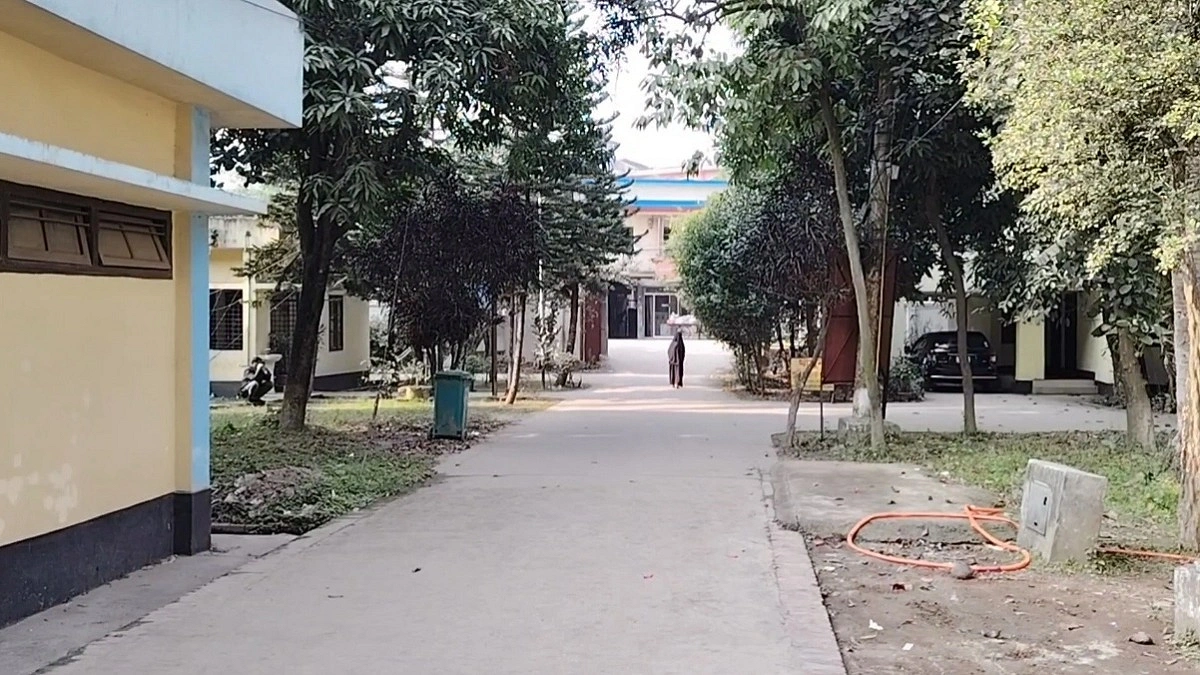 খেলার সঙ্গীই ঘাতক!