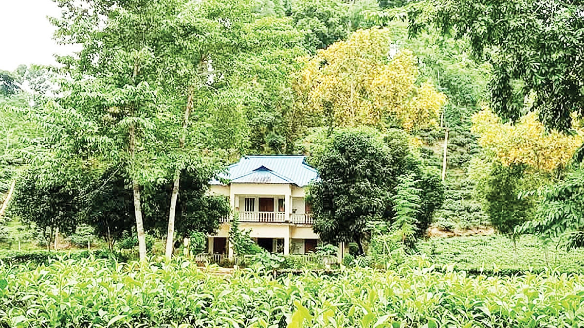 এই বর্ষায় চায়ের রাজ্যে
