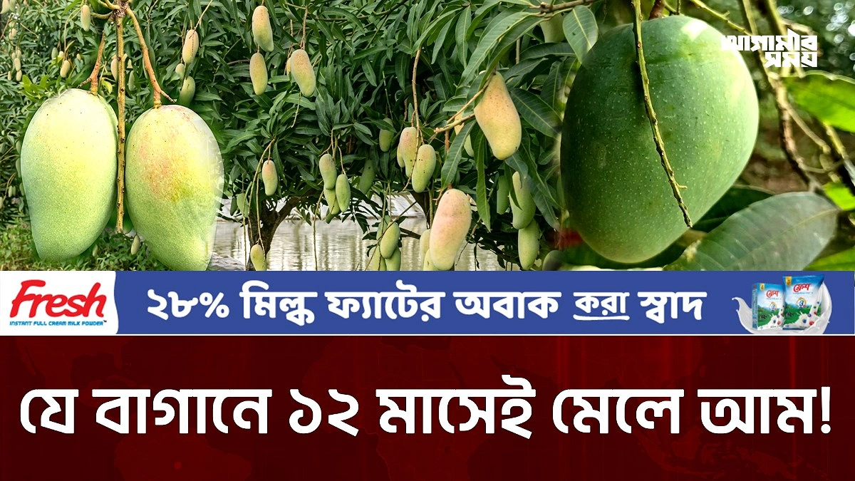 Video news 3