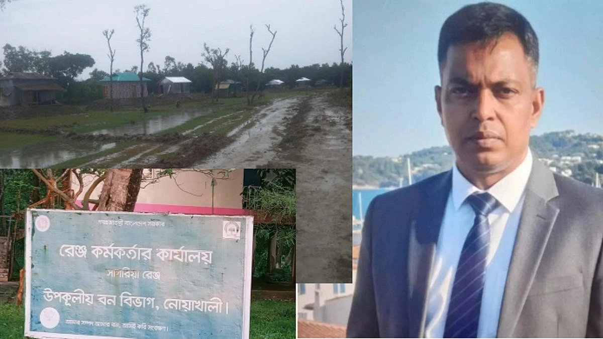 টাকা পেলে বনেই করতে দেন ভিটা-বাড়ি ও চাষাবাদের সুযোগ