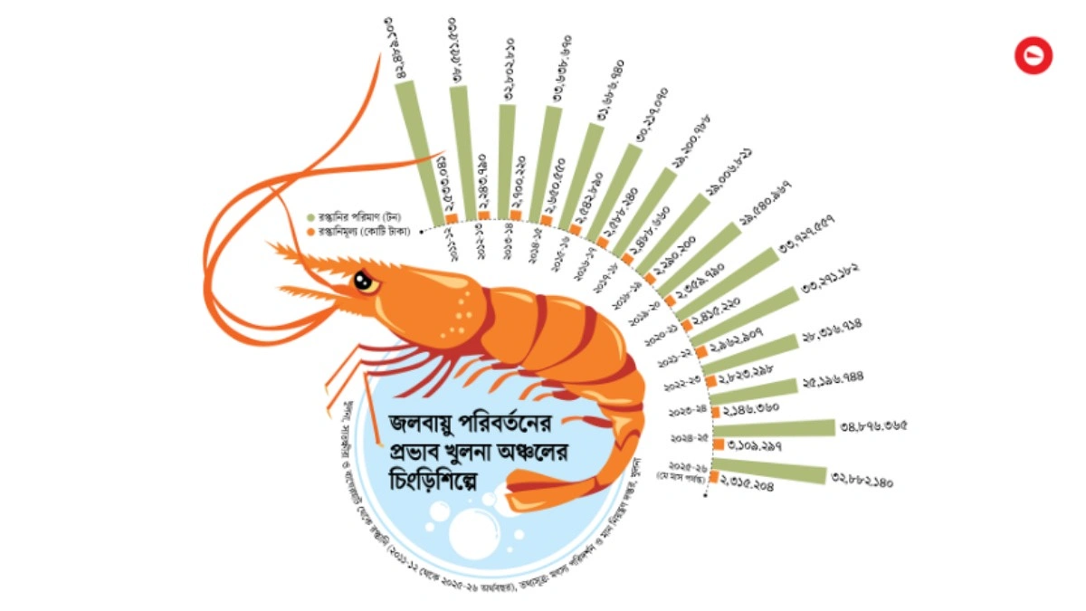 দেড় দশকে রপ্তানি কমেছে ২২%