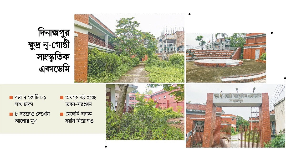 সংস্কৃতি আঙিনা যেন ‘ভূতের বাড়ি’