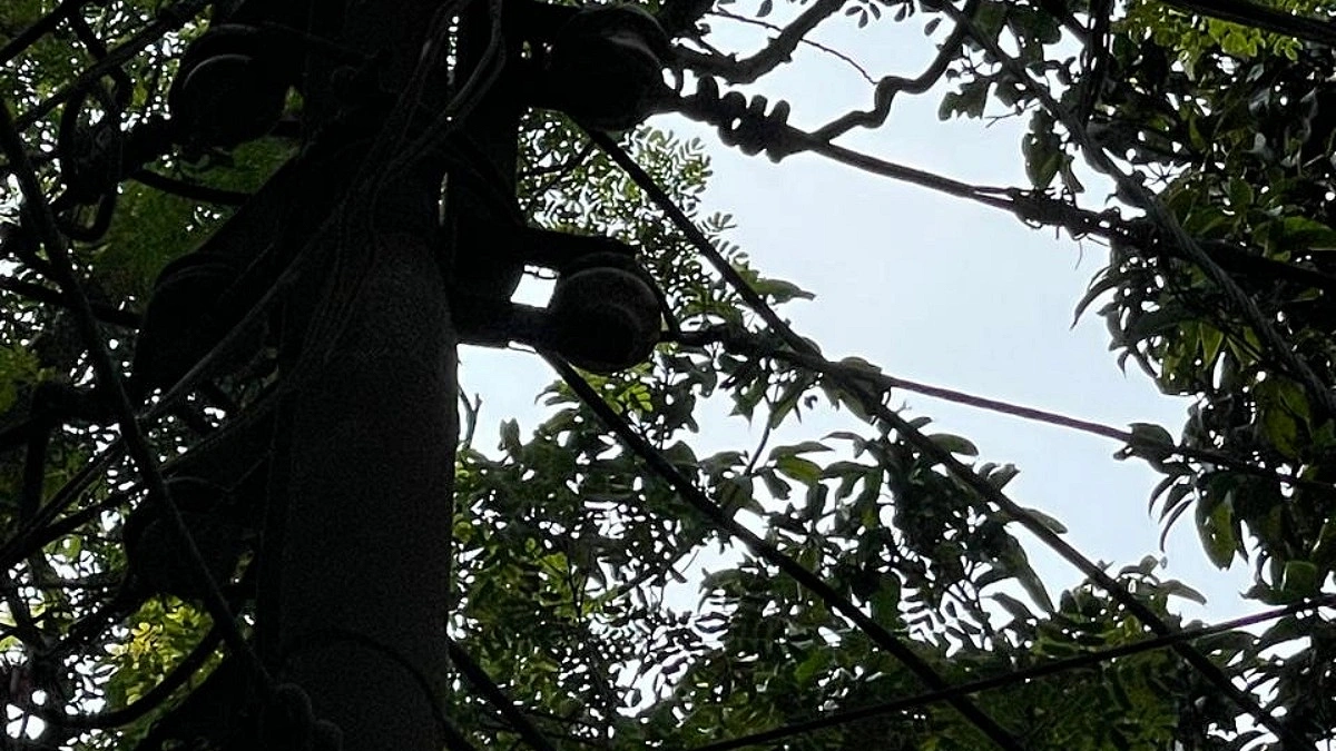 ব্রাহ্মণবাড়িয়ায় চুরির হিড়িক, বাড়ছে উদ্বেগ