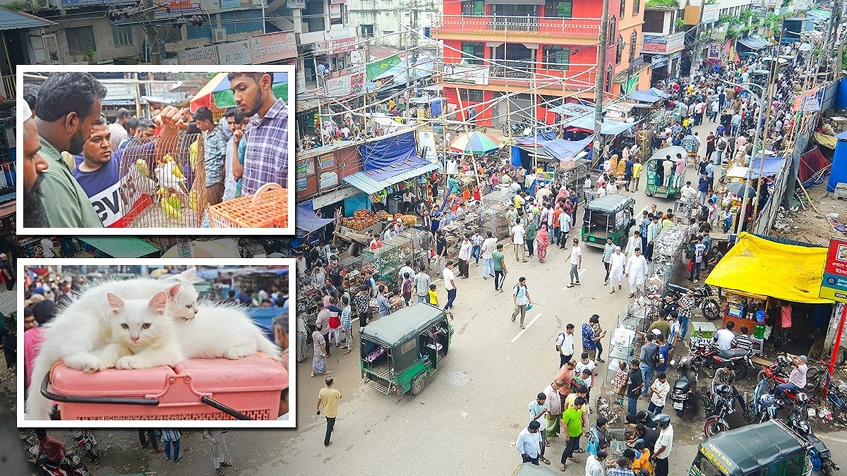পোষাপ্রাণীর কেনাবেচায় জনপ্রিয় দেওয়ানহাট