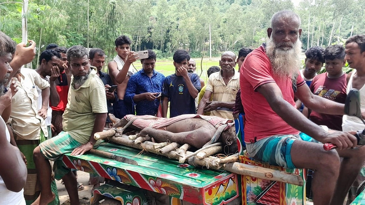 ভারত থেকে আসা বন্যহাতির আক্রমণে শ্রমিকের মৃত্যু
