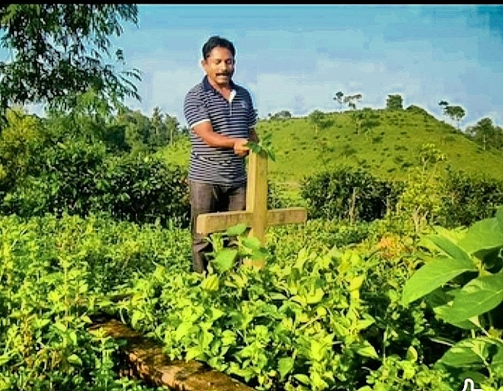 রত্না চা বাগানে মেরির কবরের পাশে লেখক, মেরি এখানেই ঢুকে যেত, কবরটা ভেঙে ফেলা হয়েছে