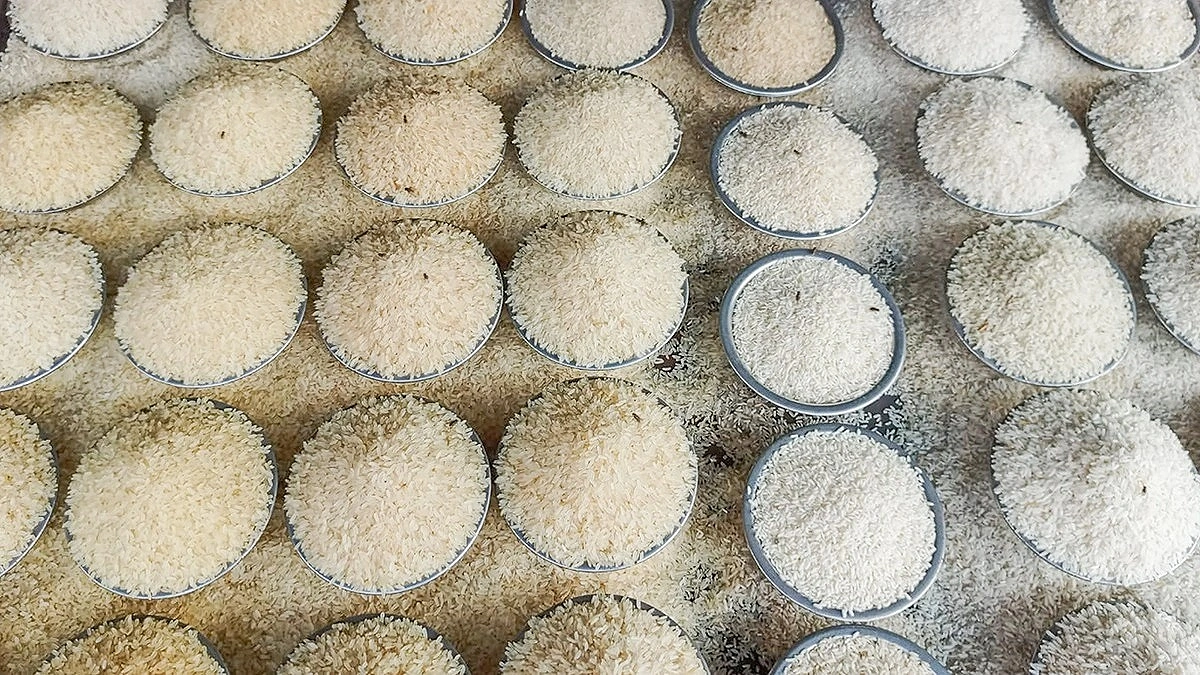 চালের বাজারে অস্থিরতা, বেড়েছে ২ থেকে ১০ টাকা