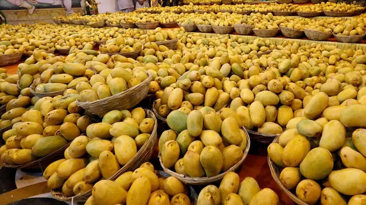 জাপানের পর নেপালেও বন্ধ ভারতীয় আম