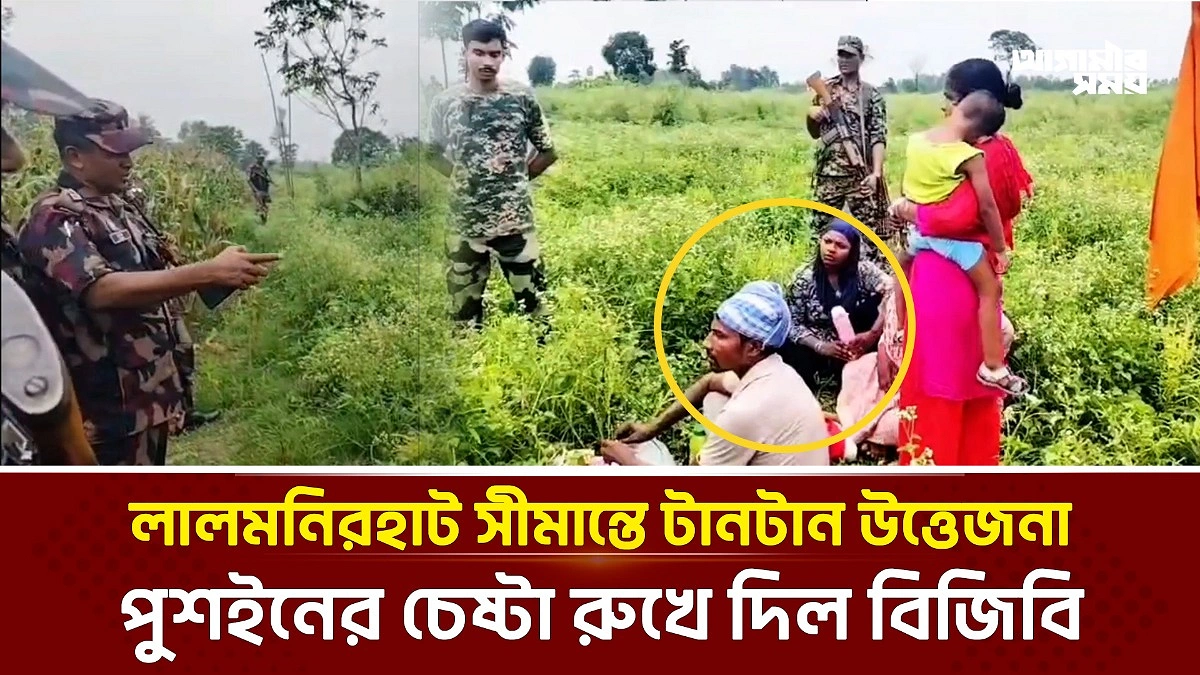 Video news 1