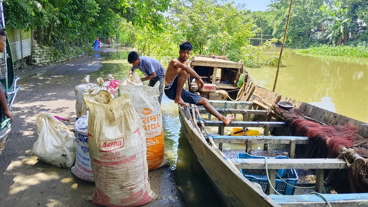 ডিঙ্গোপুতা হাওরে অবাধে শামুক নিধন, হুমকিতে জীববৈচিত্র্য