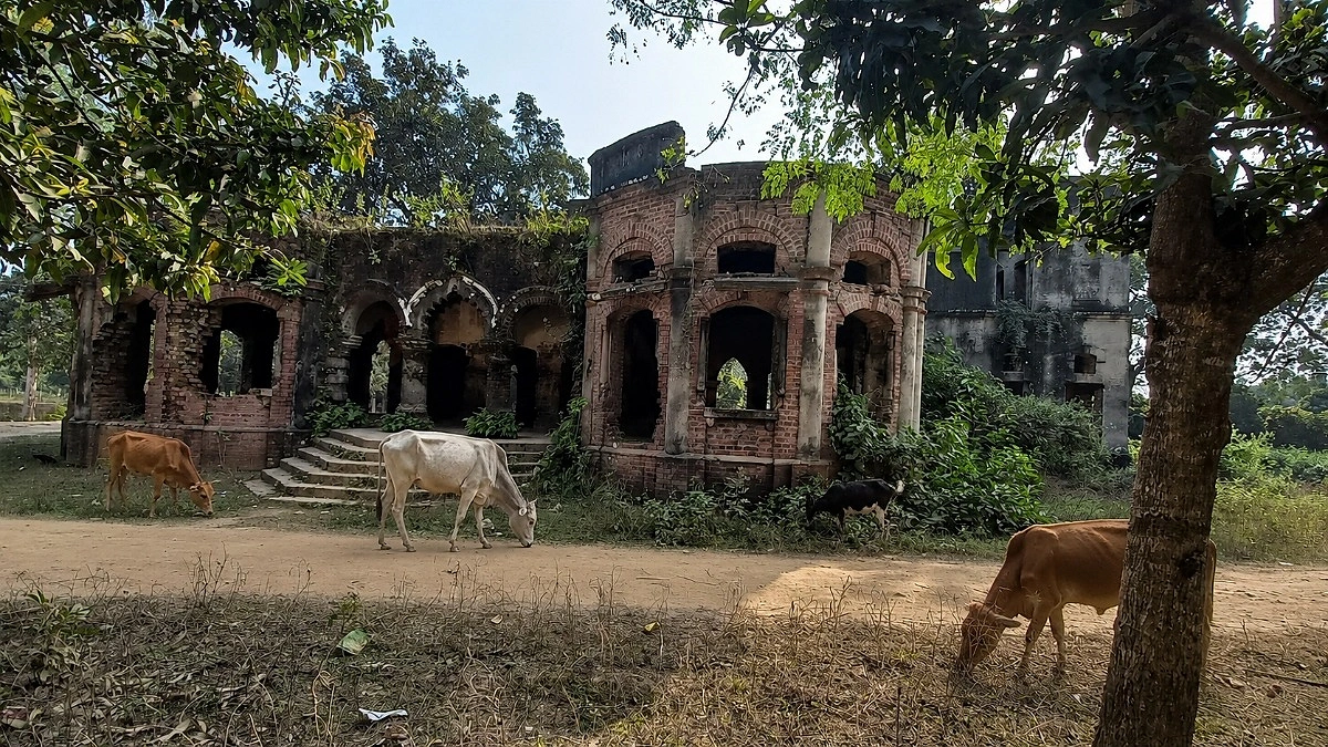 ঐতিহাসিক জমিদারবাড়িটি এখন গরু-ছাগলের চারণভূমি