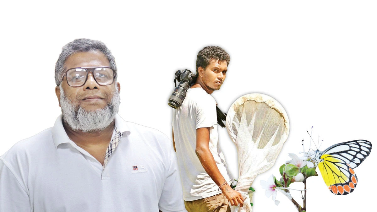 রঙিন ডানার পৃথিবী