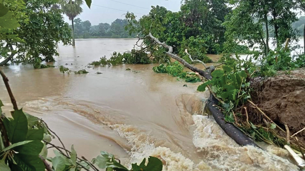 নড়বড়ে বাঁধে প্লাবনের ভয়