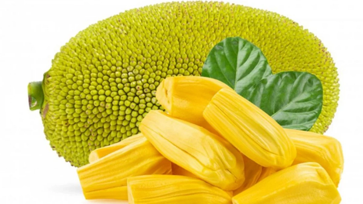 বিশ্ব কাঁঠাল দিবস আজ
