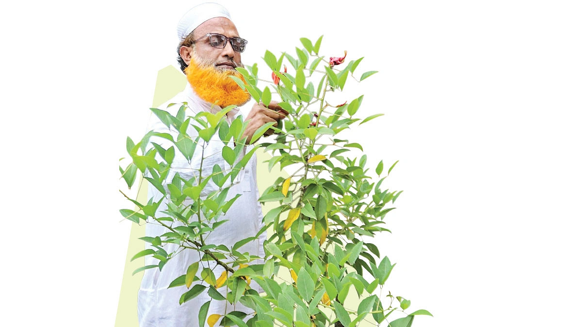 বিরল উদ্ভিদের নীরব প্রহরী