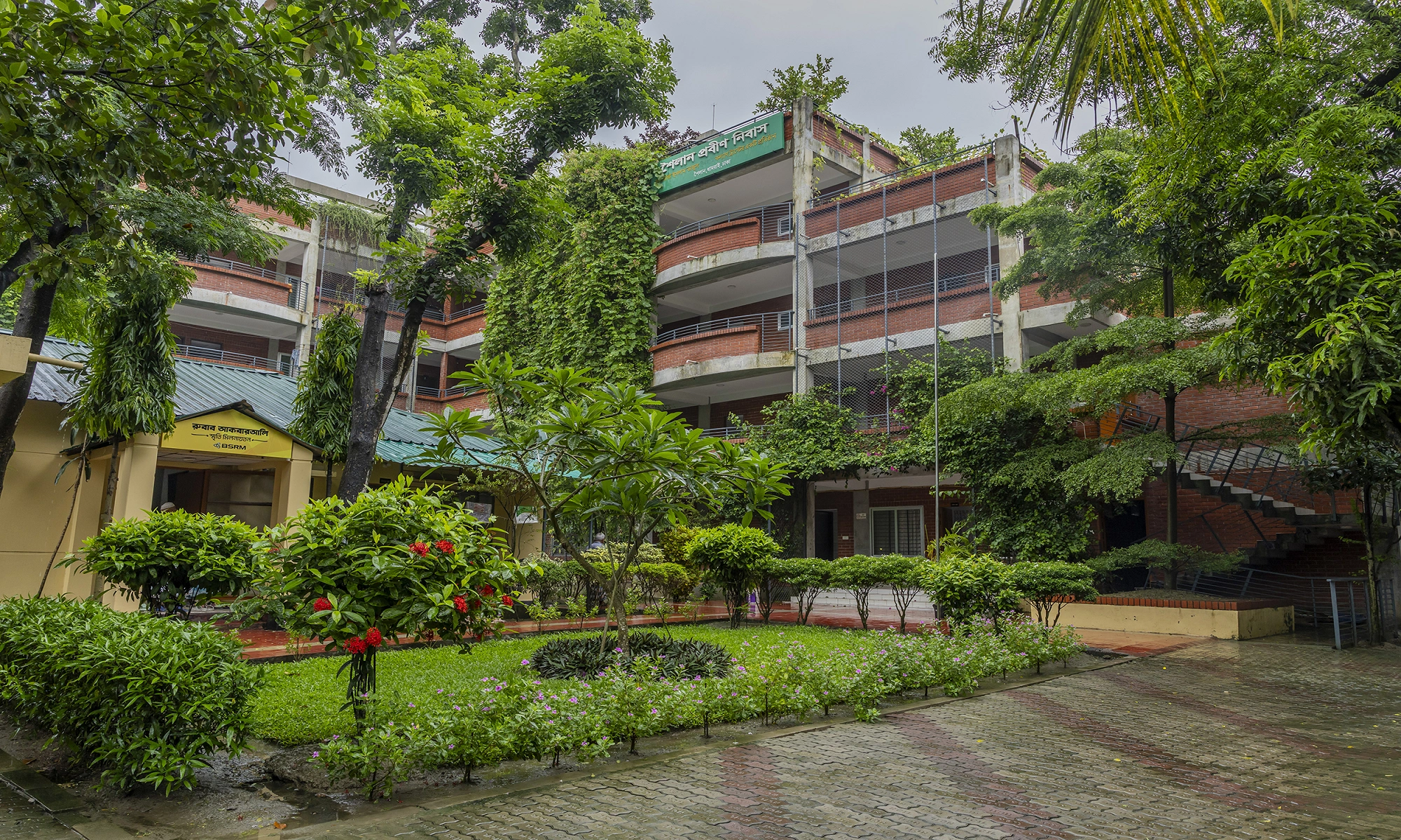 এ যেন এক সবুজের সমারোহ।
