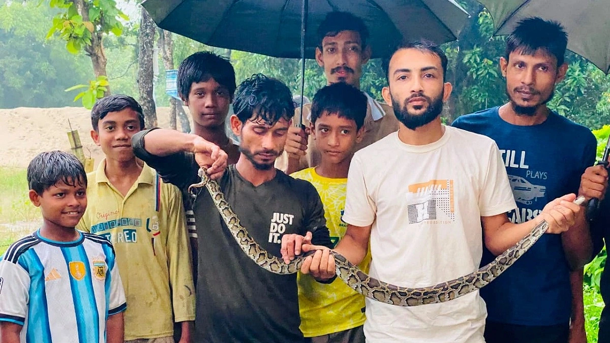 বানভাসি মানুষের দুর্ভোগের আরেক উপদ্রব ‘বিষধর সাপ’