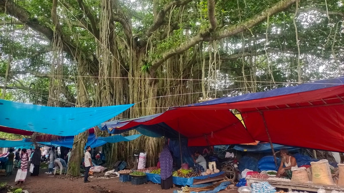 শতবর্ষী বটের ছায়ায় প্রাণবন্ত কালিদাস হাট