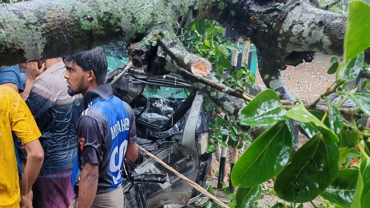চলন্ত মাইক্রোবাসে পড়ল বিশাল গাছ, প্রাণে বাঁচলেন যাত্রীরা