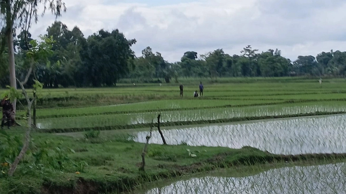পাটগ্রাম সীমান্তে খুঁটি বসানোর চেষ্টা, বিজিবির বাধায় পিছু হটল বিএসএফ